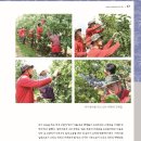 대지여행사