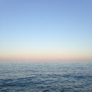 고지혈증의 이해와 관리 이미지