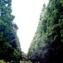 연암대학교 이미지