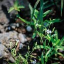 로고스교회 이미지