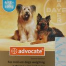 서울온누리약국 이미지