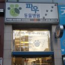 특수동물 병원 어디 가지? 용인 수지 <파우동물병원> 소개