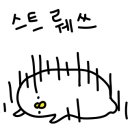 고메팔레스 이미지