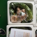 숲에서 온 유정란 이미지