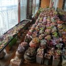 요즘 창 이미지