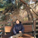 연일정씨배산문중 이미지