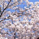 아양1로 이미지