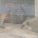 소문난떡방앗간 이미지