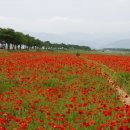 피아골 주유소