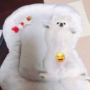 재송동물병원 이미지