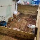 대암목장 | 5월 울산 가볼만한곳 놀거리 아이랑 언양 포니랜드