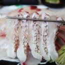 땅끝회수산 이미지
