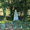 진도여행 첨찰산 운림산방 옆 천년고찰 붉은 동백꽃이 만발한 진도 쌍계사