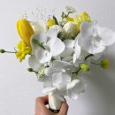 재현인테리어 - 창원시 성산구 대암로 251 | 광명 부케말리기 호접란 튤립 부케재현액자 제작 후기