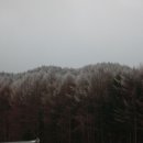 평창종합운동장 이미지