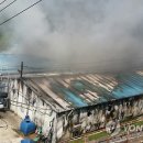 추산농장 이미지