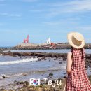 이호테우 비치해변 | 제주 여행 이호테우해변 주차장 포토존 후기