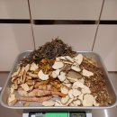 토끼씨한의원 이미지