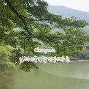 내수면환경생태공원주차장 이미지