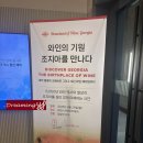 카라에이전시 | [와인 특강] 와인의 기원, 조지아를 만나다 (2026.06.29)