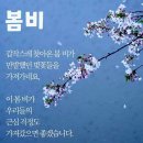 4월7일금요일현장체험학습공고 이미지