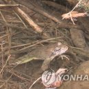 신현대자원
