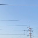 모모포차 이미지