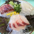 마니 | 미사 횟집 바다 생산 회마니/가성비 회 정식 후기