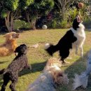 옐레드 하남미사점 이미지