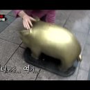 광희약국 이미지