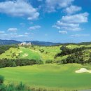 한림용인 이미지