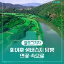 고래수 | 회야호 생태습지 탐방 연꽃 속으로