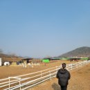 하빛율빠꿈사리 이미지