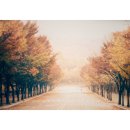 인천대공원(거수골) 이미지