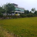 가온길순두부 이미지