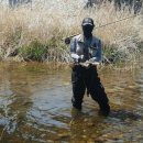 흐르는강물처럼 이미지