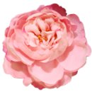 반포쇼핑타운 4,8동 이미지