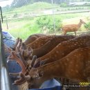 가축농장 이미지