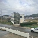 스테이 다로 2 이미지