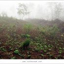 냉수농장 이미지