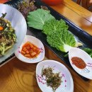 명품물회 송정본점 네이버블로그