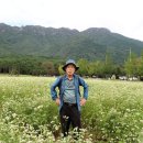 메밀꽃필무렵 이미지