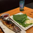 오징어 세상 이미지