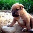 마인드병원 이미지