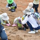 영덕 블루로드 트레킹 게스트하우스 이미지