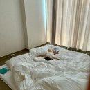 [문화가 있는 날] 남경주와 함께하는 올댓스테이지-클래식 | 2024년 10월의 일상