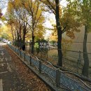 안곡로 22 이미지