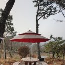 백운 목장 이미지