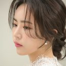 네이처제이 네이버블로그