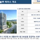 블루테라 네이버블로그